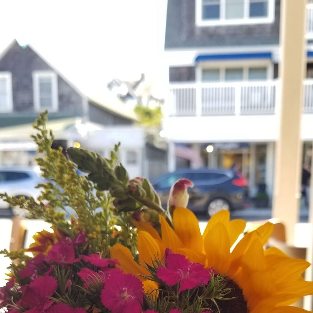 Meet your Posher, Watson